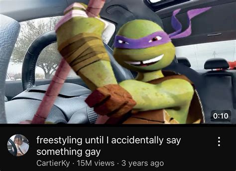Gay Donatello In Tmnt Characters Tmnt Turtles Ninja Turtles Funny