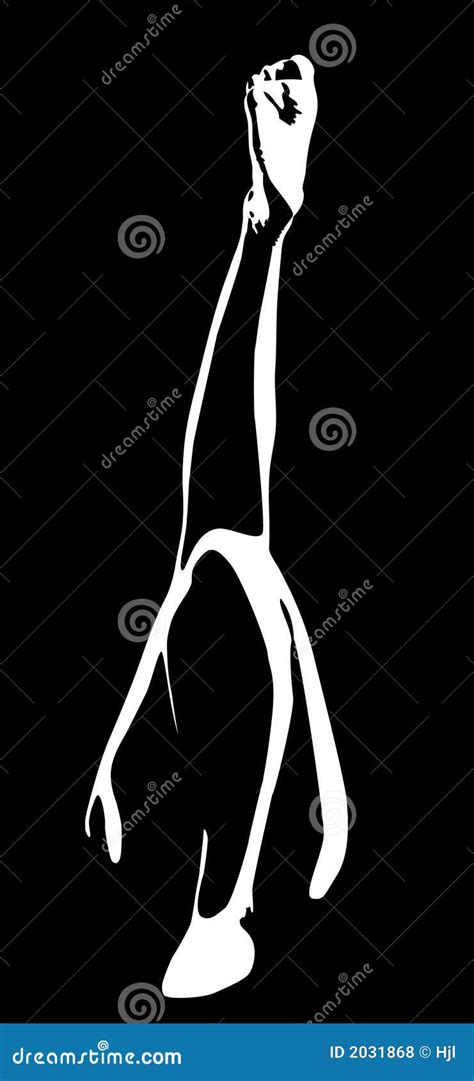 Woman Legs Stock Vector Illustration Of Shape Nude Slim 2031868