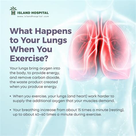 What Happens To Your Lungs When You Exercise