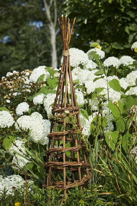 Tom Chambers Willow Wigwam Obelisk 120cm Yarm DIY