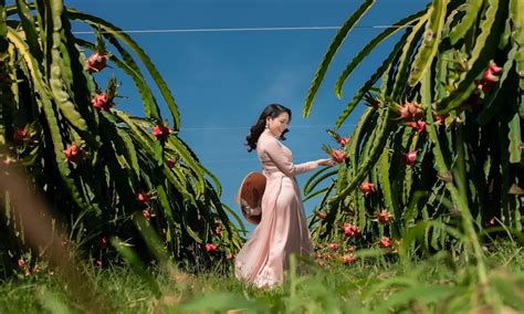 V N Thanh Long Phan Thi T I M N Hot H N H T C Gi I Tr Ua Nhau Check In