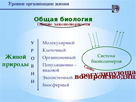 Многообразие живого мира. Уровни организации живого