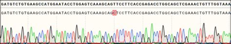 Kyinno Ba F3 Kinase Screening Cell Lines Kyinno Bio