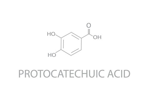 Protocatechuic acid molecular skeletal chemical formula 37076484 Vector Art at Vecteezy