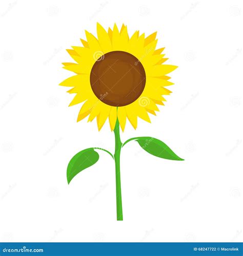 S Mbolo Del Vector Del Girasol Ilustraci N Del Vector Ilustraci N De