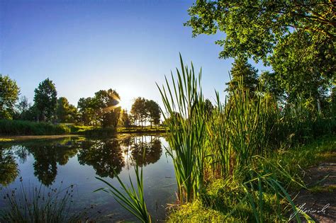 Somewhere in Mazovia, Poland : landscape