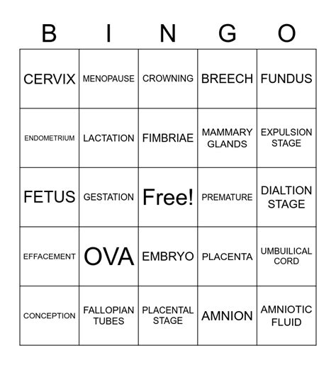 Reproductive System Bingo Card