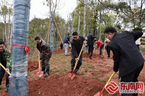 顺昌：“互联网全民义务植树”助推国家森林城市创建 闽南网