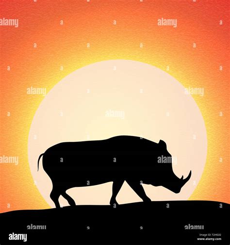 Wildschwein Silhouette Bei Sonnenuntergang Vector Illustration Stock