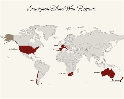 Top 10 Sauvignon Blanc Bottles for 2026 - Wines Curated