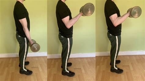 Zottman Curl Benefits (Standing Dumbbell Version)