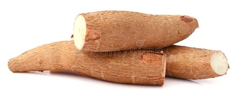 Cassava tubers stock photo. Image of skin, ancient, cassava - 111680456