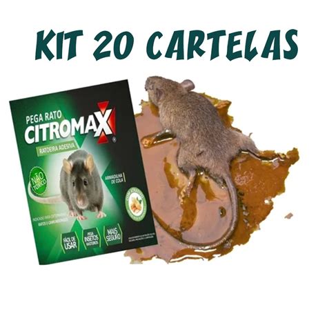 Kit Armadilhas Ratoeiras Adesiva Cola Pega Rato Submarino