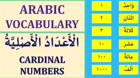 Arabic Cardinal Numbers Arabic Vocabulary