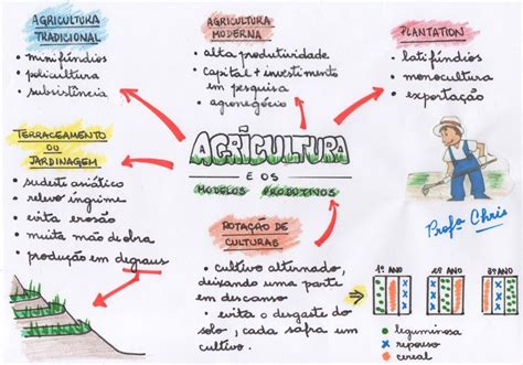 Arriba 59 Imagen Mapa Mental Sobre Las Ramas De La Geografia Abzlocal Mx