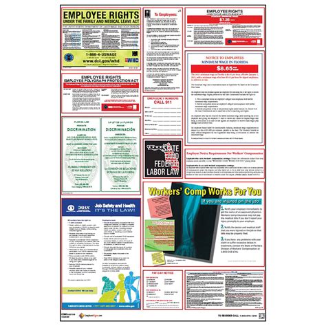 Labor Laws Poster - Florida - Federal - OSHA - English