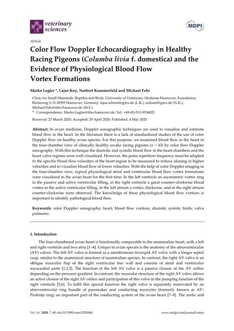 PDF Color Flow Doppler Echocardiography In Healthy Racing Pigeons