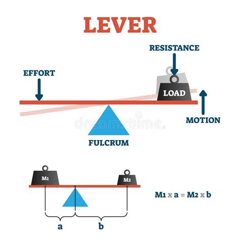 Lever Action Rifle Parts Diagram