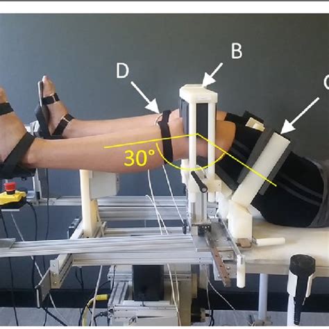 Participant Setup In The Robotic Knee Testing Device With Knees Flexed