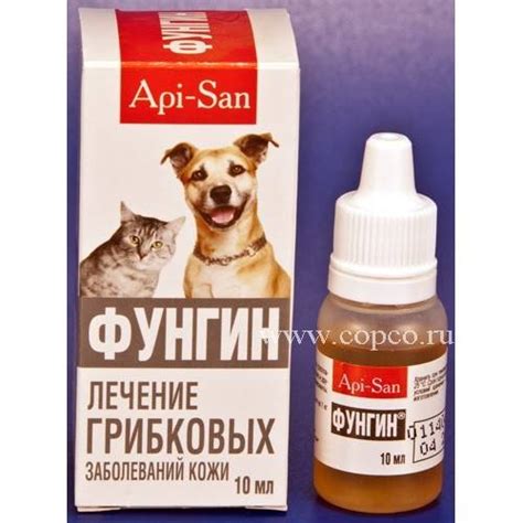Инструкция по применению препарата «Фунгин Форте» для лечения кошек от ...