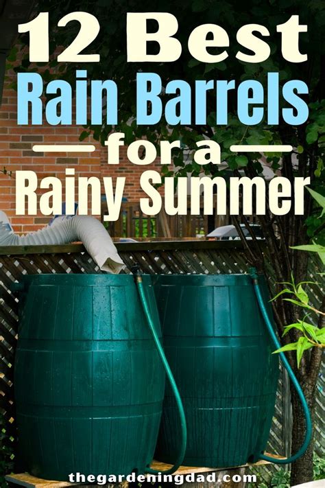 12 Best Rain Barrels For All Gardeners 2023 Artofit