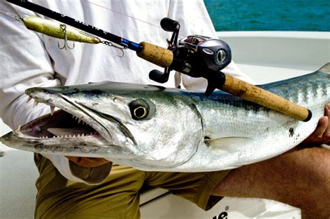 A Guide To The Marquesas Keys | Fishing Key West