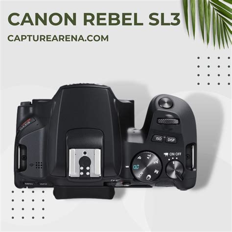 Canon Rebel SL3 Review 2024 (+ Resources & FAQs)