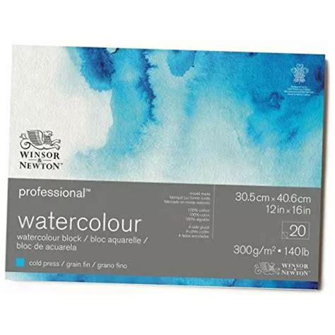 Winsor Newton Bloc De Papel Profesional Para Acuarela Mercadolibre