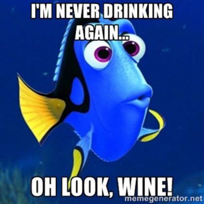 30 Happy Birthday Wine Memes To Help You Celebrate - SayingImages.com