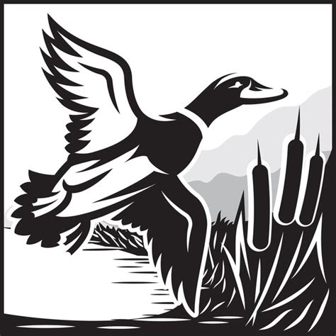 Mallard Duck Clip Art Black And White