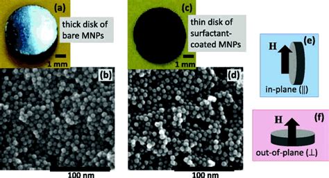 (a), (c) Photographs and (b), (d) scanning electron micrographs of the ... 