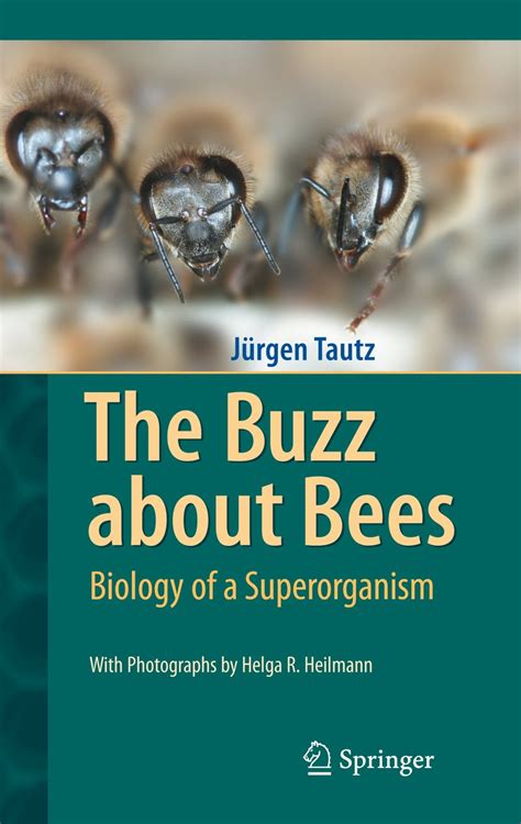 Hades The Buzz About Bees Biology Of A Superorganism Eng