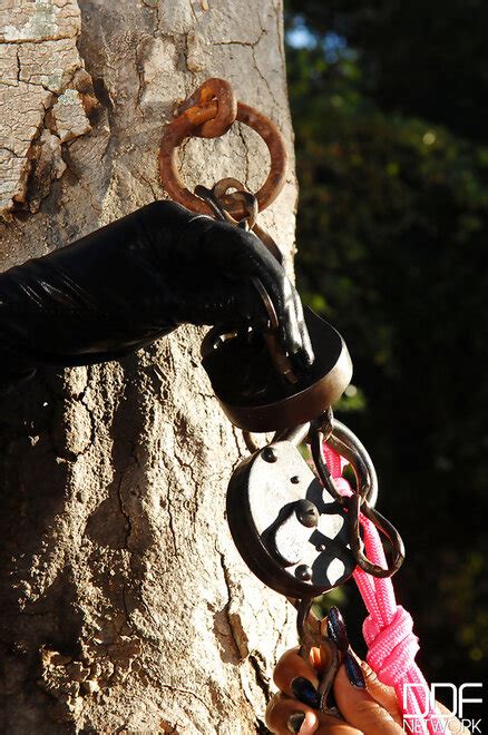 BRUTAL 6 Brutal 05062 Porn Pic