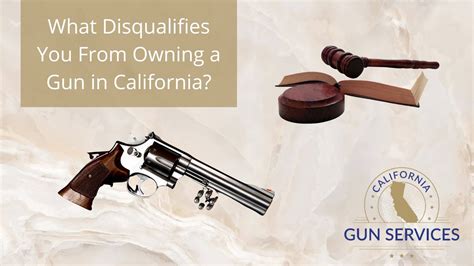 What Disqualifies You From Owning A Gun In California California Gun