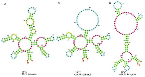 Secondary Structure Prediction Of Cspa Utr Of Pcoldl Ii Under Varying