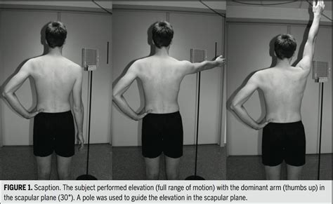 Scapular Muscles Exercises