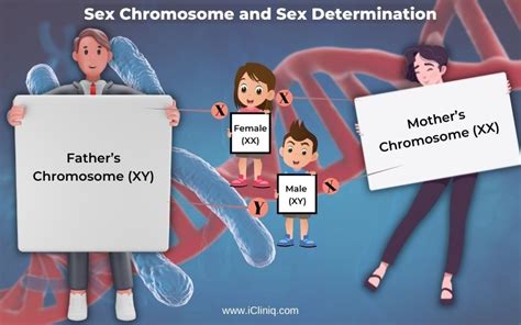 Trisomy X Syndrome Symptoms