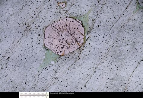 Garnet Muscovite Thin Section