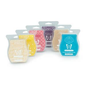 Scentsy Bars reviews in Home Fragrance - ChickAdvisor