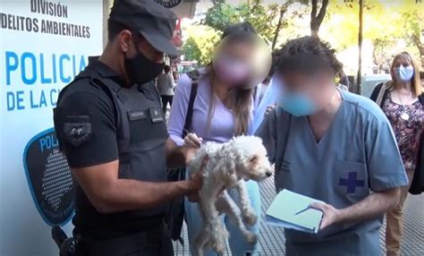 Clausuran Un Criadero Ilegal De Perros Que Se Encontraba En P Simas