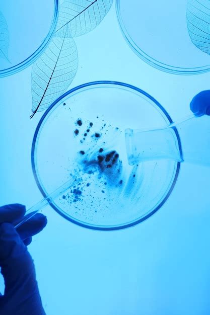 Cientista trabalhando placas de petri em laboratório Foto Premium