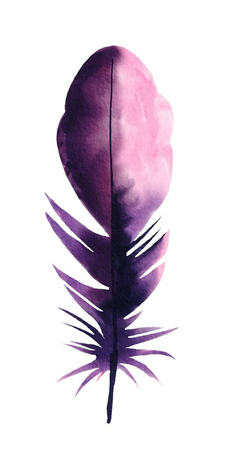 Free Pluma Pintada A La Acuarela 11905172 PNG With Transparent Background