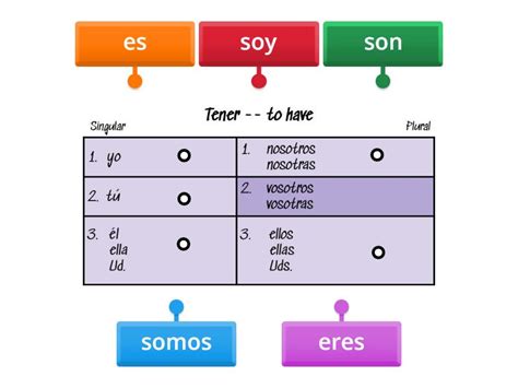 Activity 1 SER Verb Chart - Labelled diagram