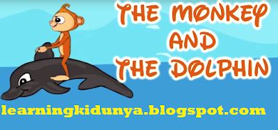 monkey   dolphin story  learning ki dunya
