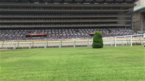 東京競馬場 メモリアルスタンド フジビュースタンド 外観 内馬場からの眺め Youtube