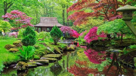 Le Sublime Jardin Japonais Cach Au Coeur De Lille A Rouvert Ses Portes