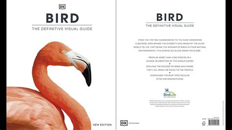 Bird The Definitive Visual Guide Youtube