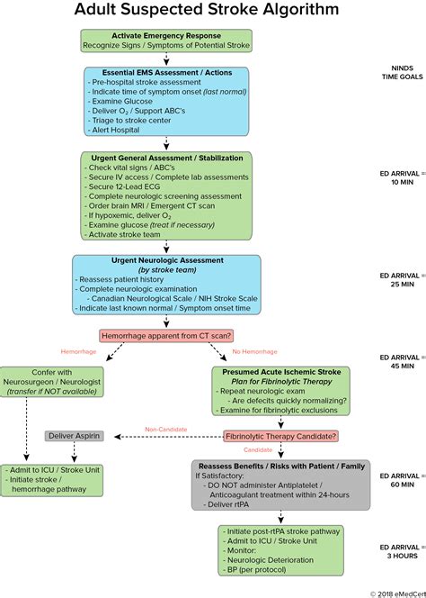 Acls Algorithms You Need To Know