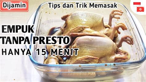 Tips Dan Trik Memasak Burung Dara Agar Empuk Tanpa Presto Hanya