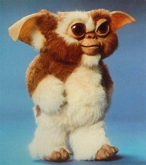 Promotional Photo Of Gizmo For Gremlins 1984 • • • • Joedante Gizmo